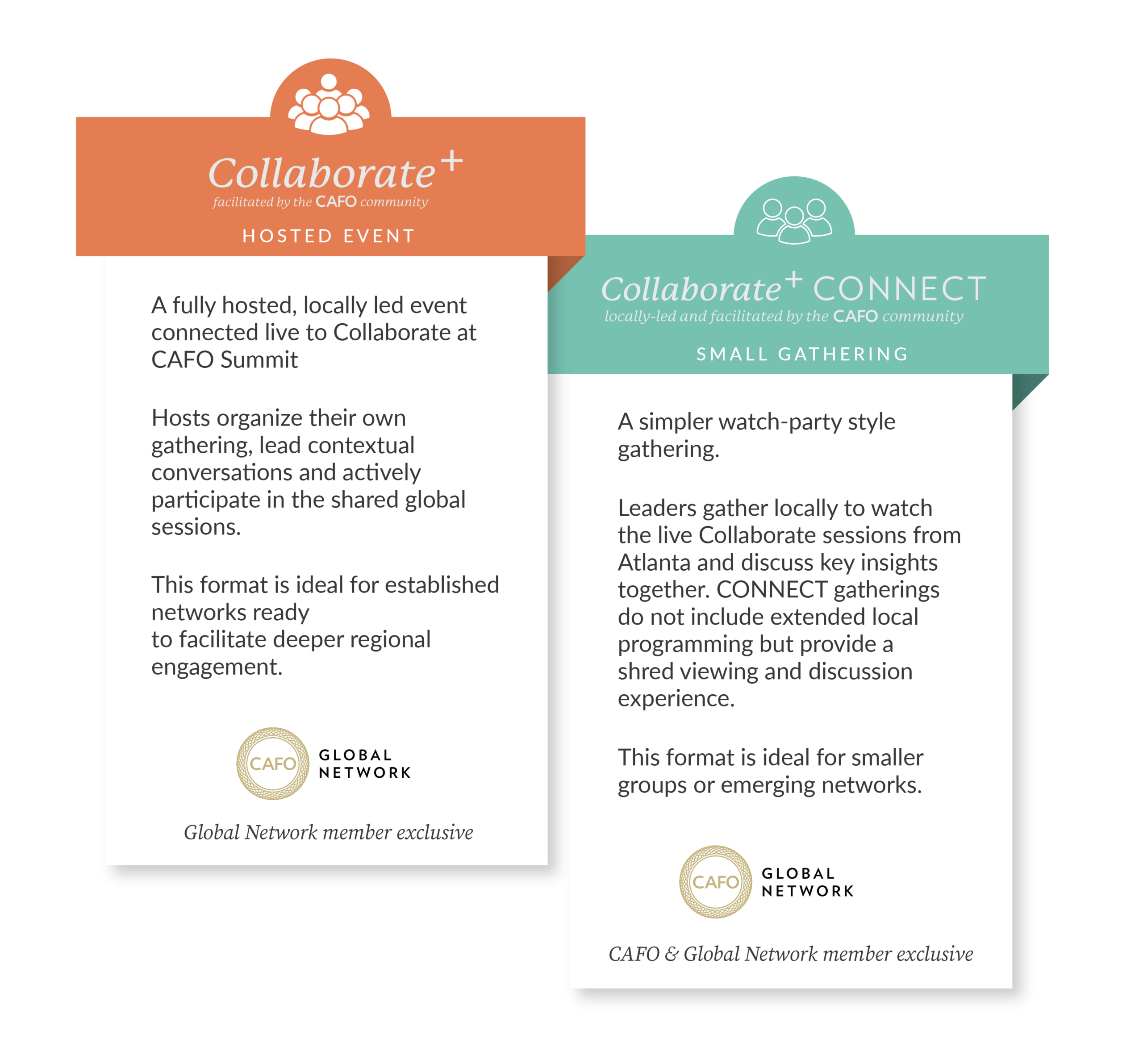 Collaborate Plus Options 2026 for Web