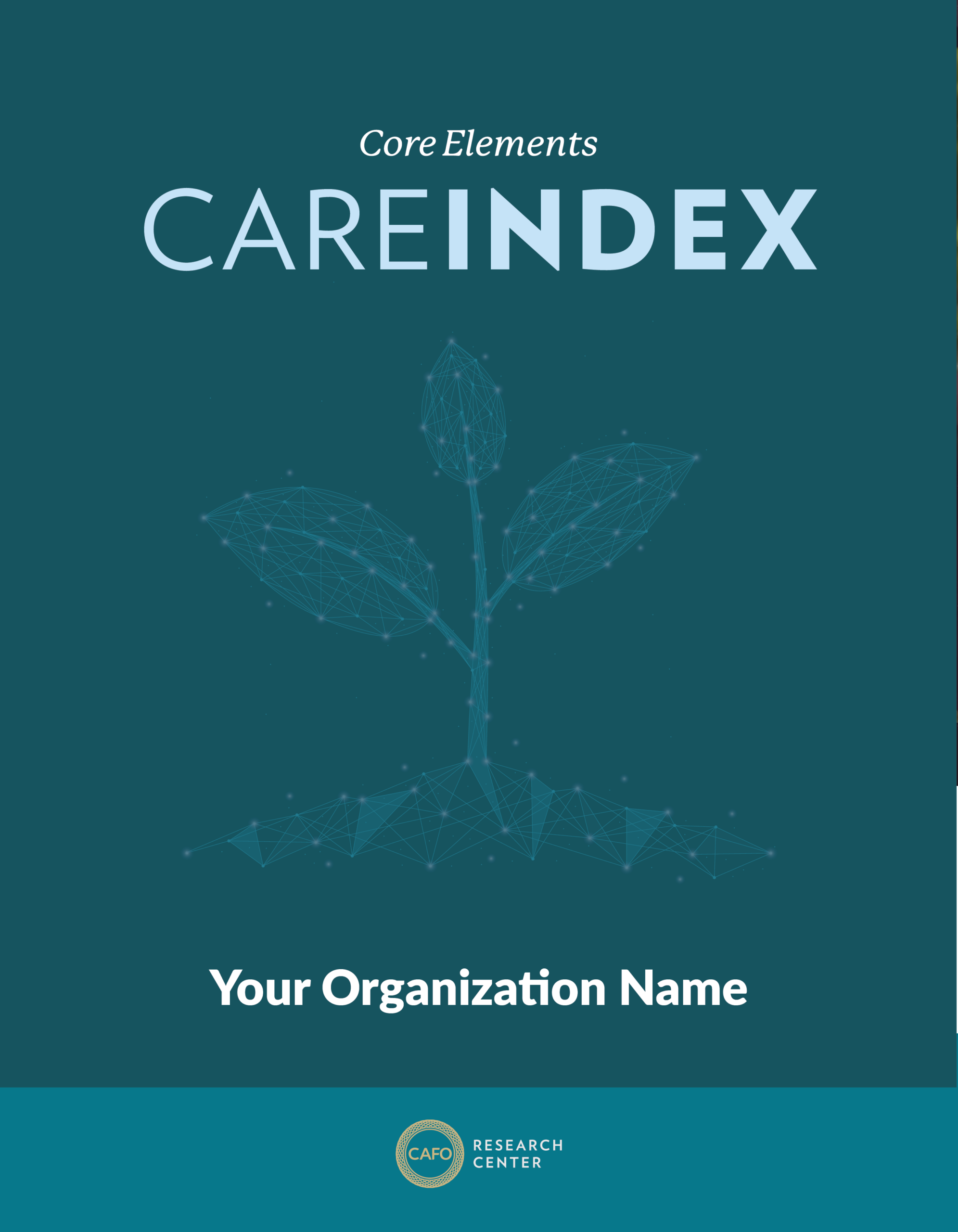 CareIndex Report Cover_Flat