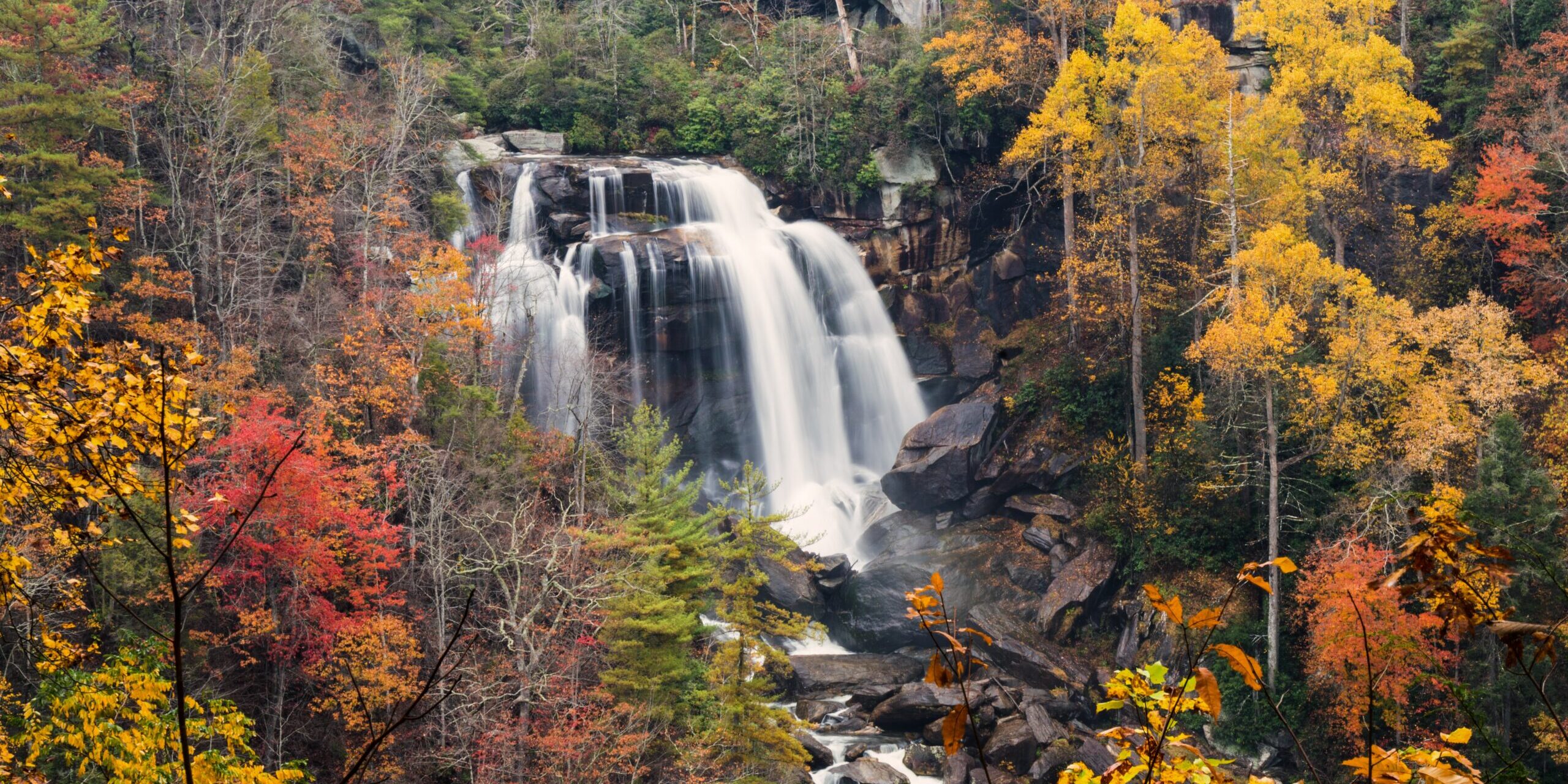 0116F641-EE2B-49DB-B269-20C249BF9C6A-scaled