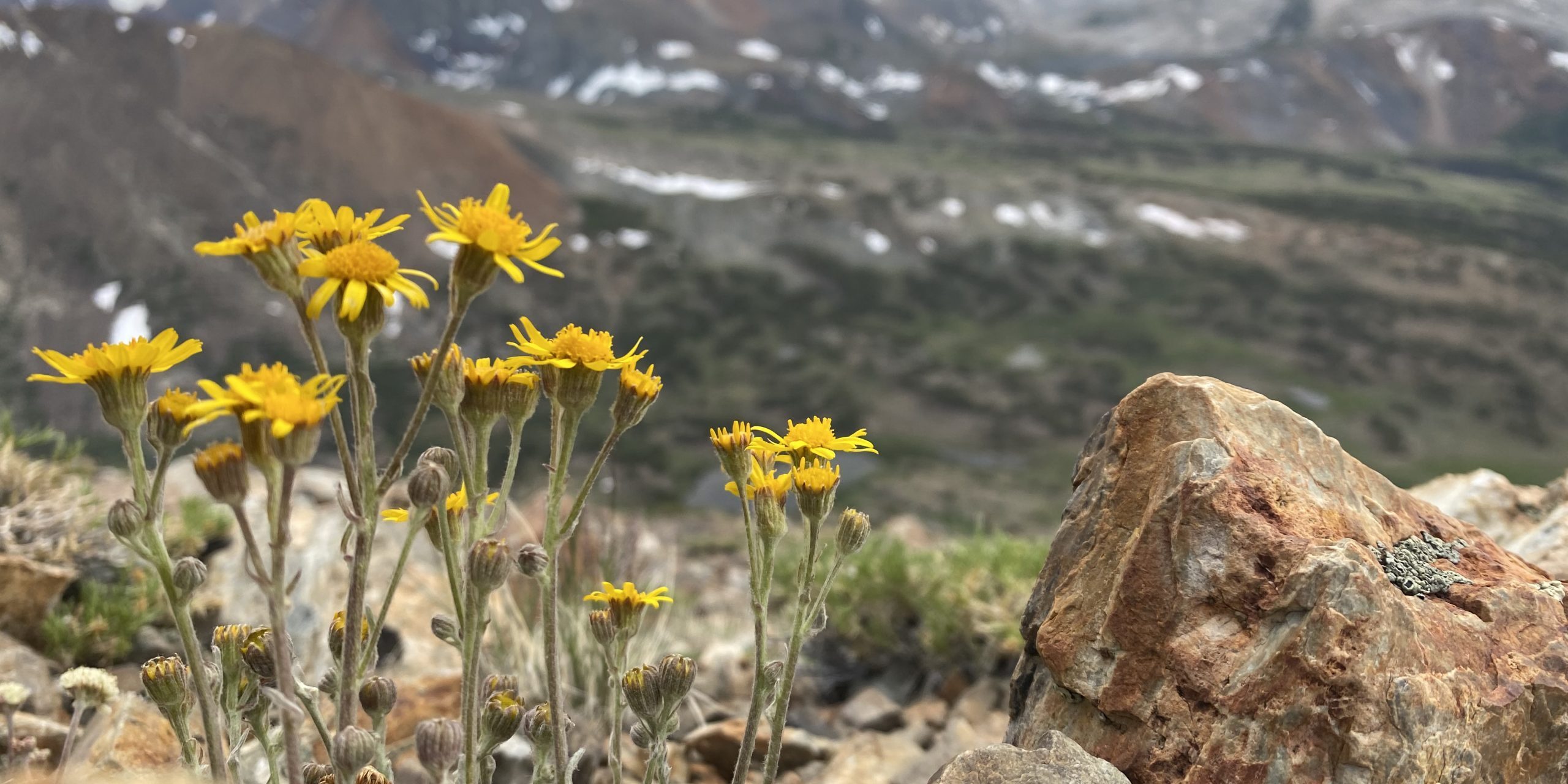 3CDB5B15-A2F4-4BAE-9EED-1393B89EF797-scaled-e1637726308491