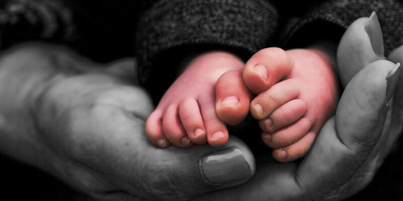 8132217514_9362a51a24_c