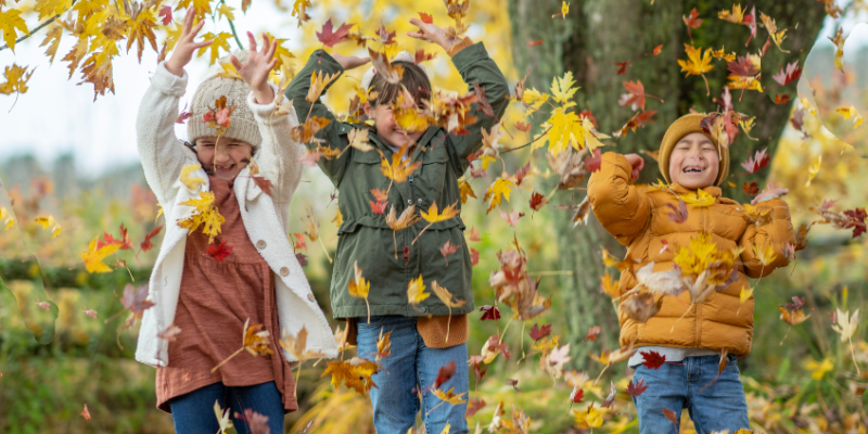 blog-family-institute-gratitude