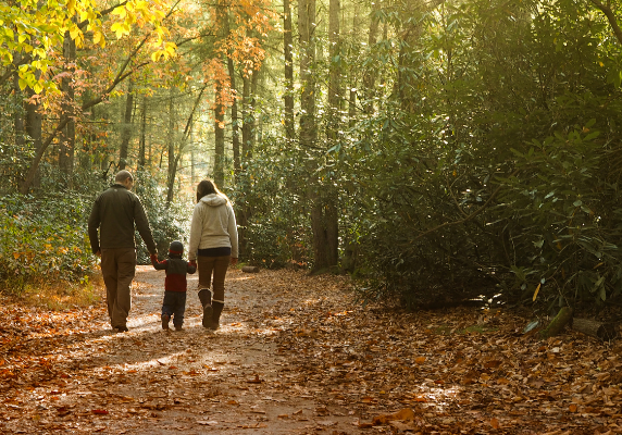 blog-family-institute-gratitude-family-practices