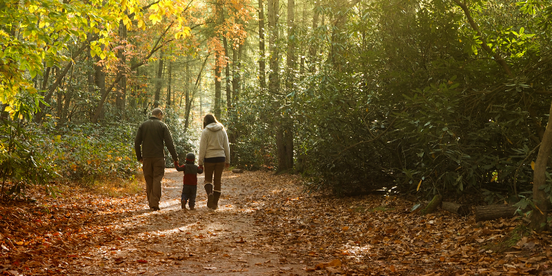 blog-family-institute-gratitude-family-practices