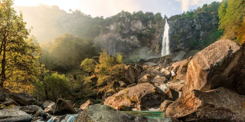 waterfall in a forest