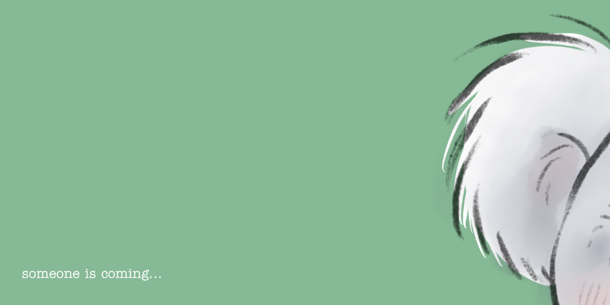 Caleb-Koala-blog-header