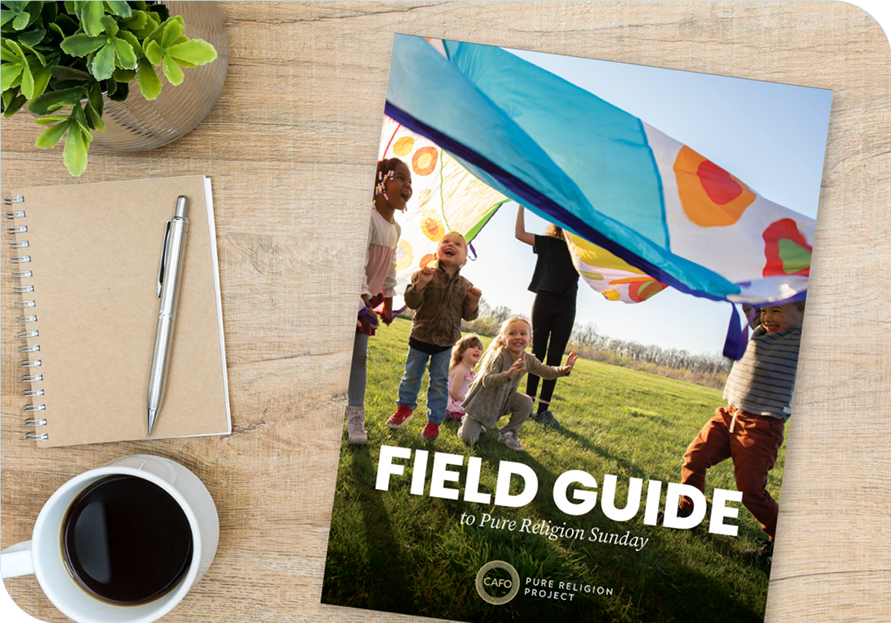 Field Guide_Corners