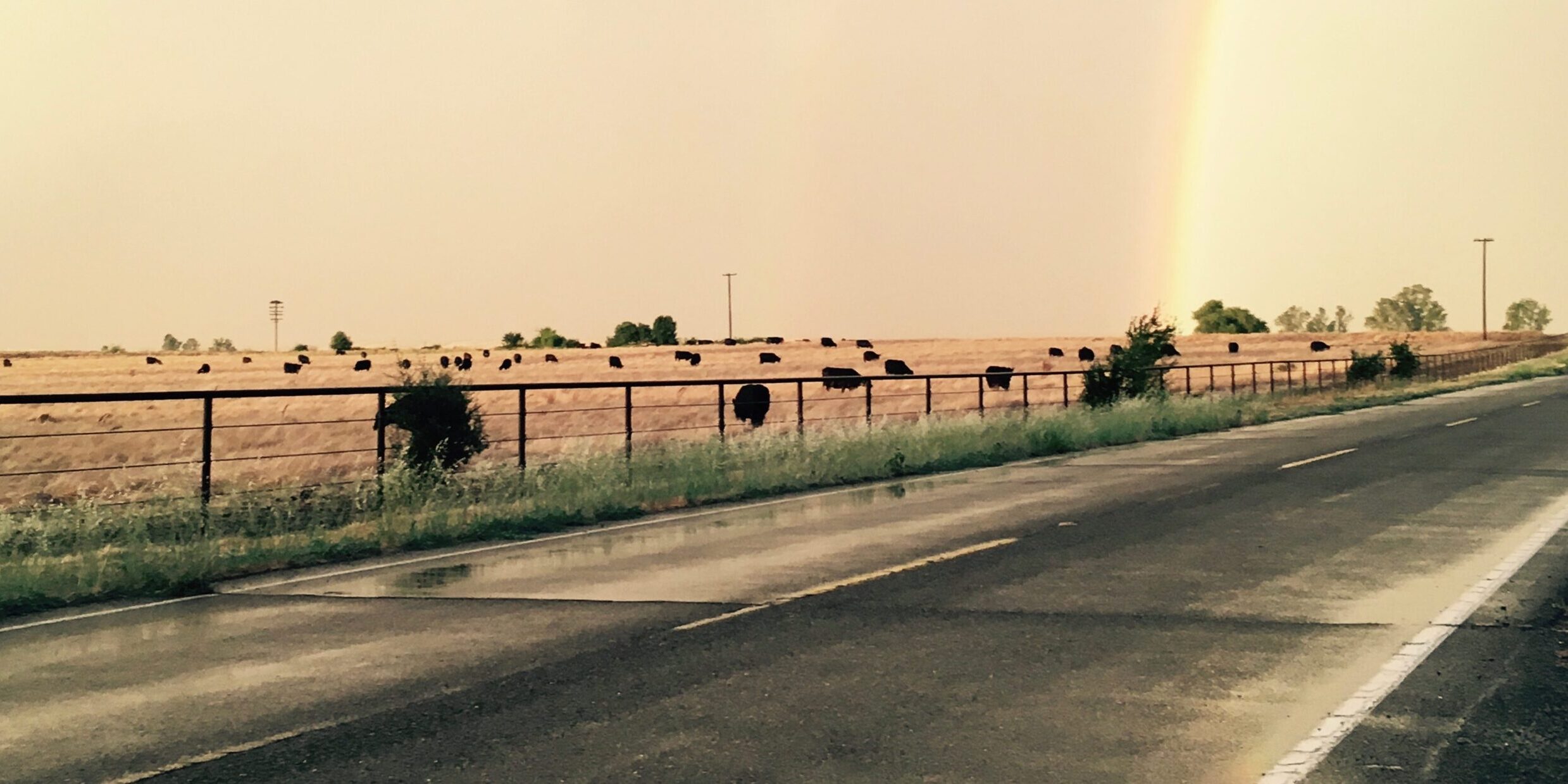 IMG_0273-e1502907239719