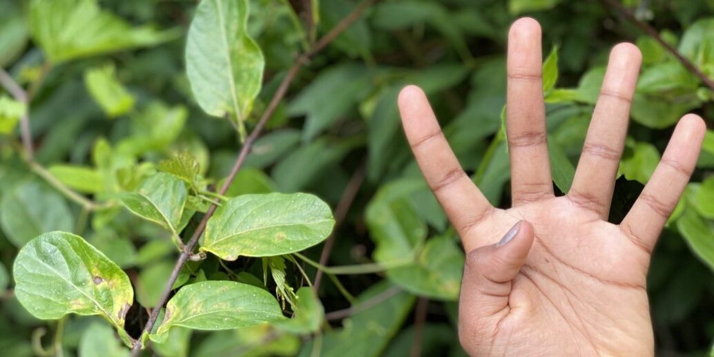 IMG_0434-scaled-e1591800582977