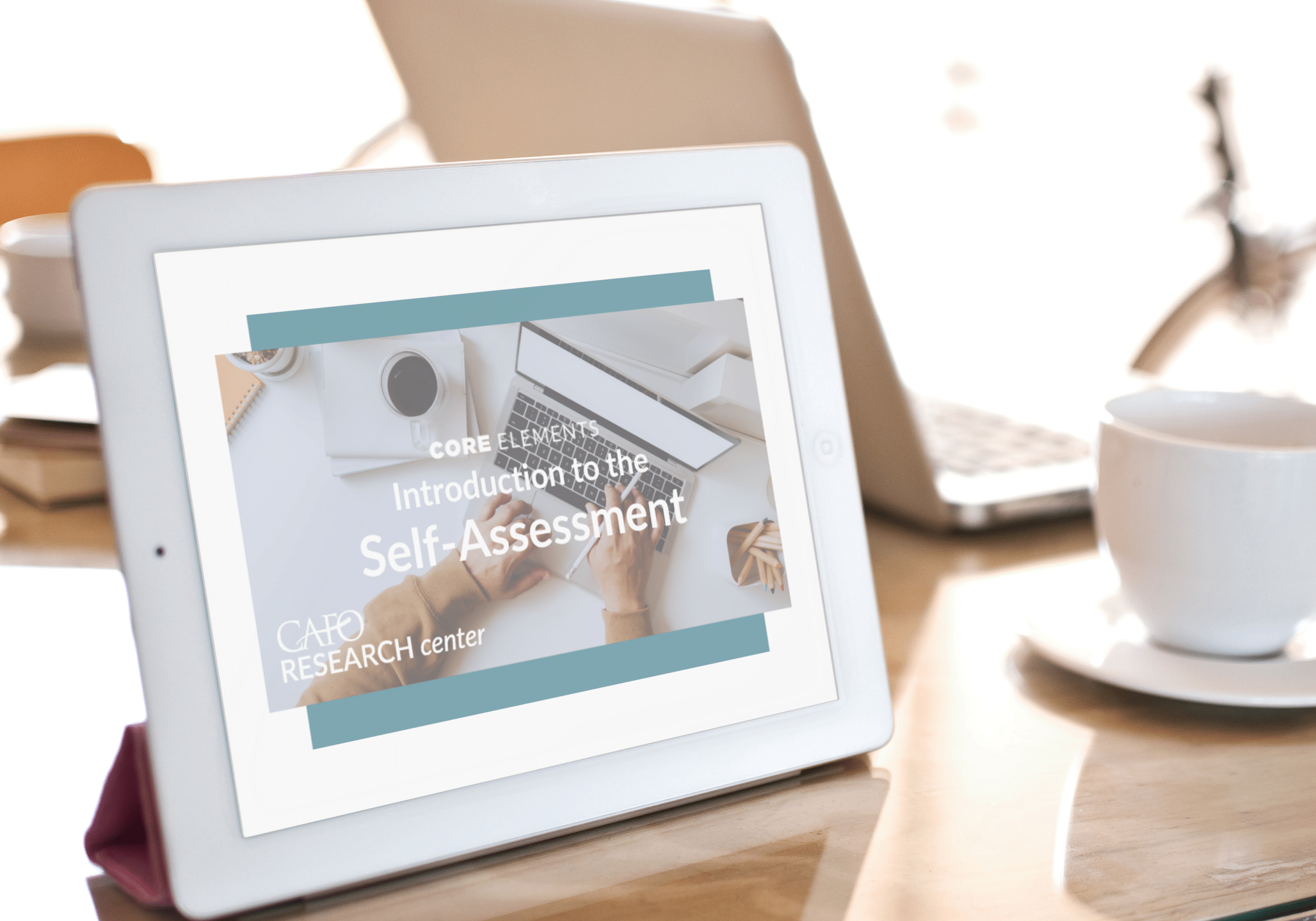 Intro-to-Self-Assessment-mock-up.png