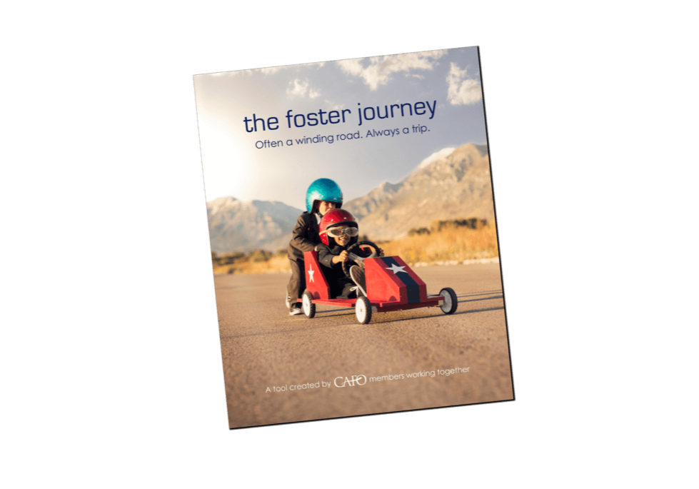 MTE-the-foster-journey