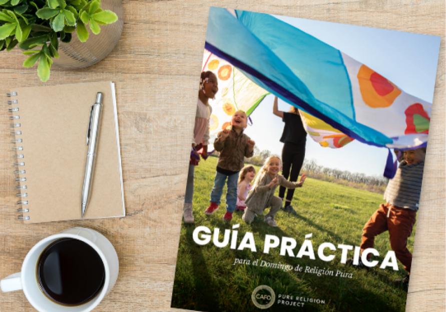 Spanish-PRS Field Guide mockup