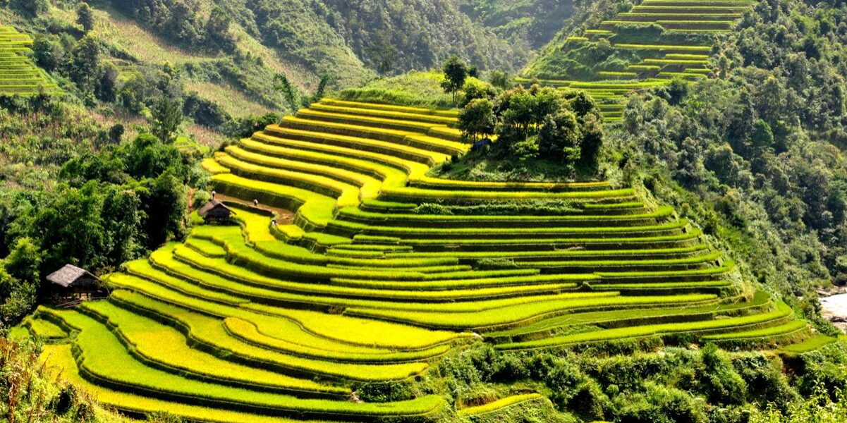 Terraces-in-Sa-Pa