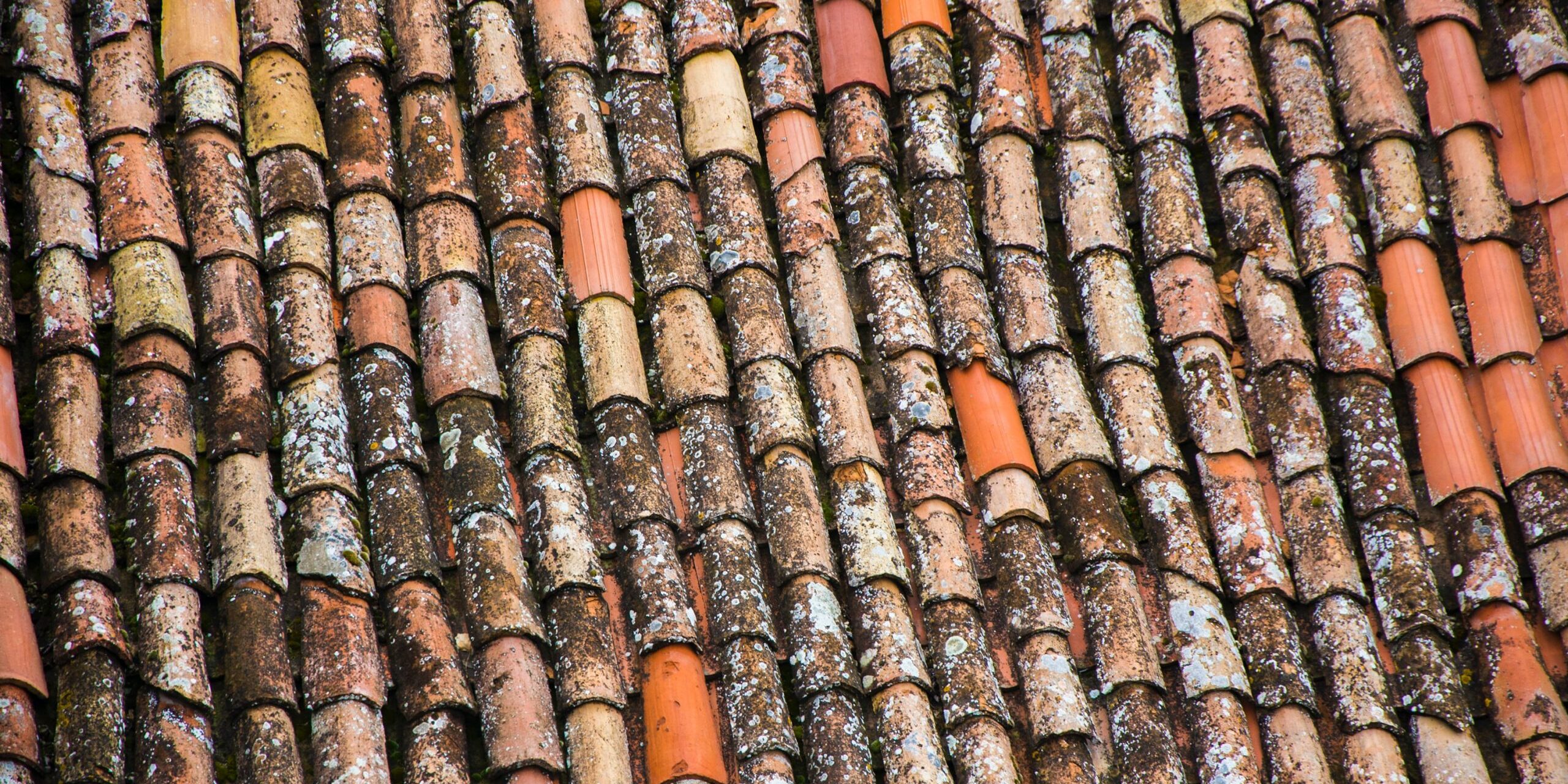 blaz-erzetic-FEtIUv_x9r8-unsplash-1-scaled