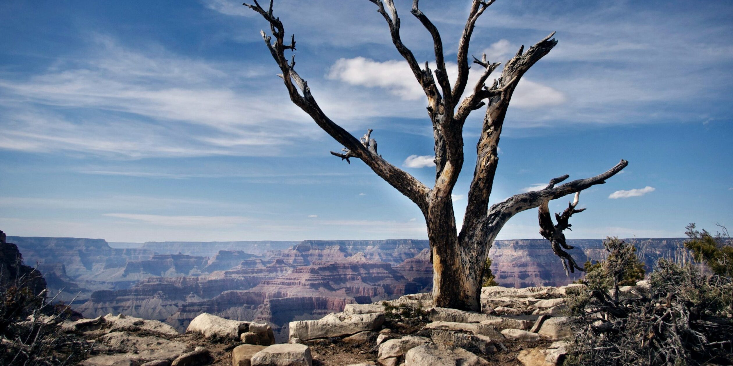 chad-stembridge-pu2d59HQRfY-unsplash-scaled-e1603300094315