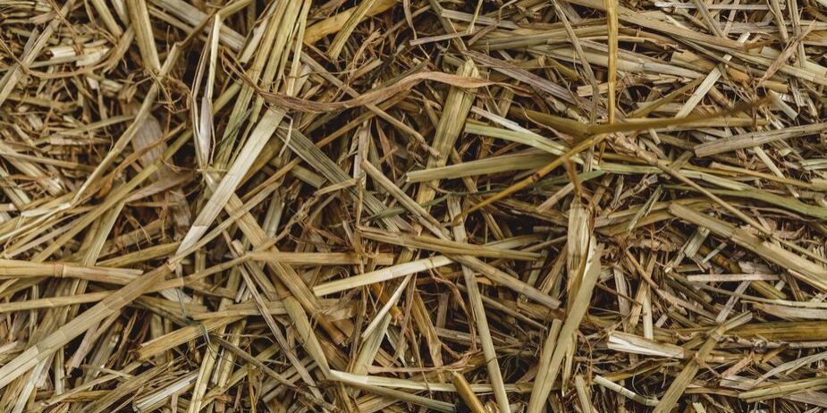 close-up-on-hay-texture_925x