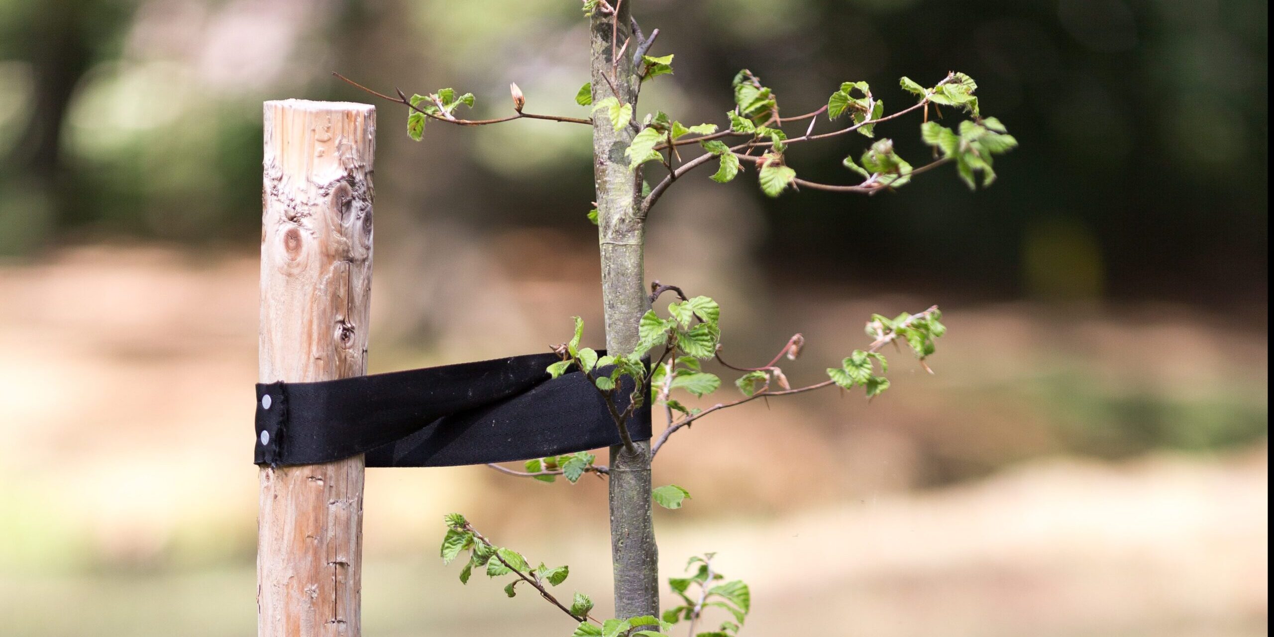 iStock-1021763612-e1567778930834