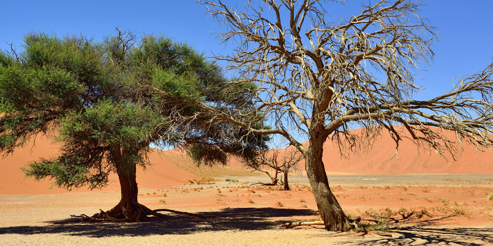 shutterstock_383672830-1