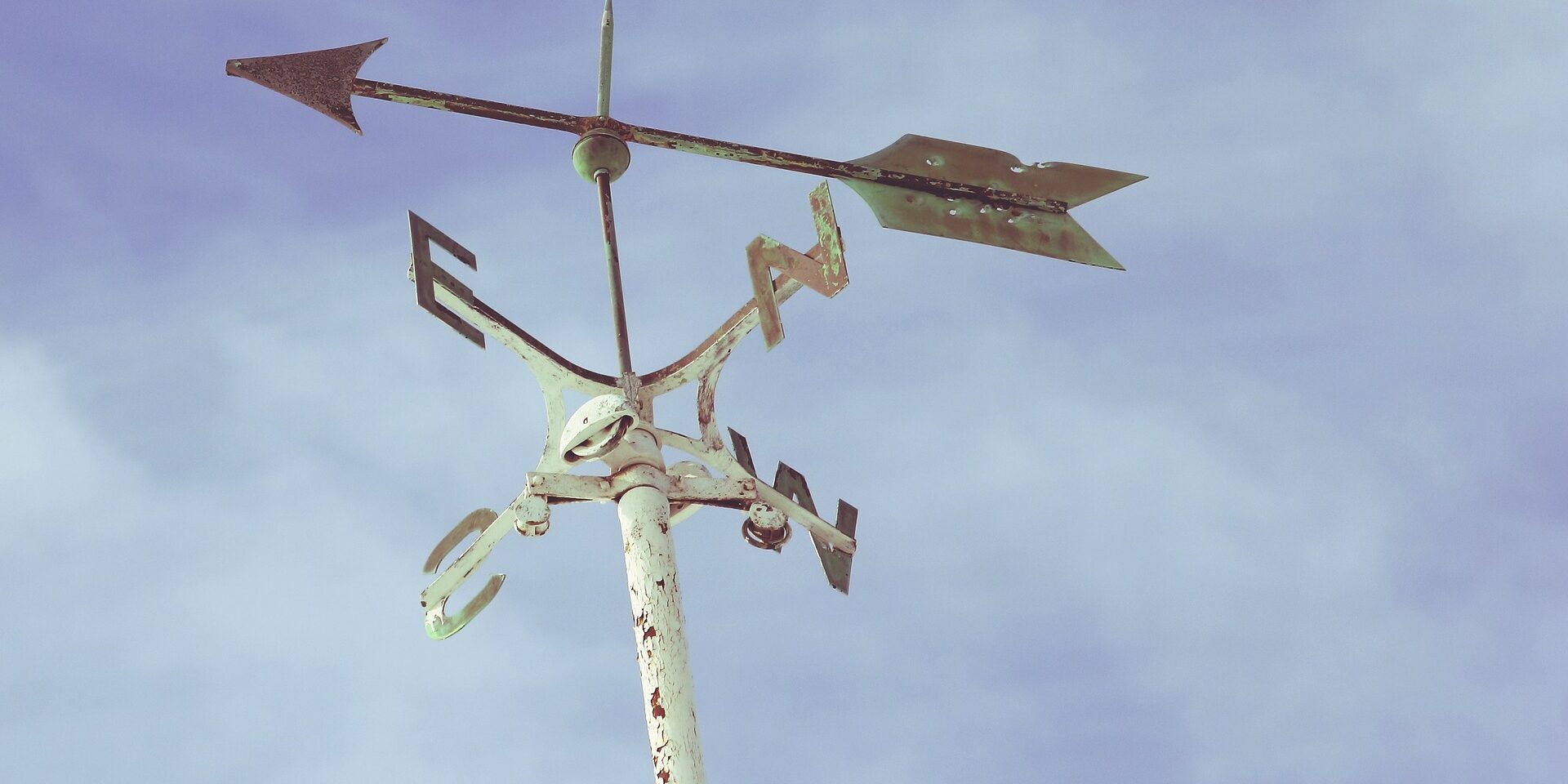 wind-rose-1209398_1920-14